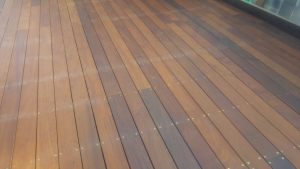 20161111_135129 (Medium)